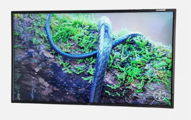 NEC Multisync UN552V 55" Digitales Anzeigegerät