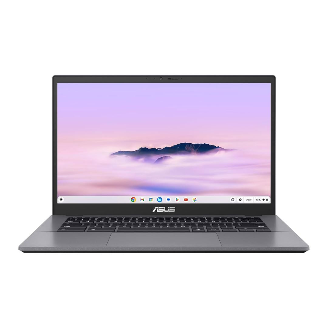 Asus CX3402CBA/CB3402CBA 14" 8 GB 512 GB SSD I5-1235U 2.60 GHz CHROME OS GRAU ENGLISCH (Sehr gut)