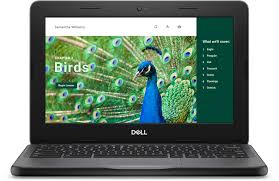 Dell CHROMEBOOK 3120 N100 11,6" ENGLISCH, GB TASTATUR